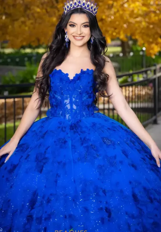 Quince Dresses With Sleeves|Plus Sized Quince Dresses^LizLuo Quinceanera 26092