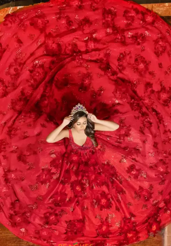 Plus Sized Quince Dresses|Sweet Sixteen^LizLuo Quinceanera 80032