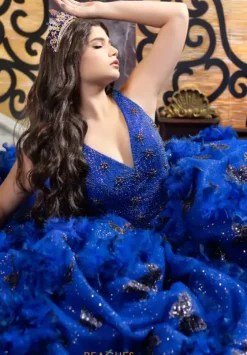 Plus Sized Quince Dresses|Sweet Sixteen^LizLuo Quinceanera 80032