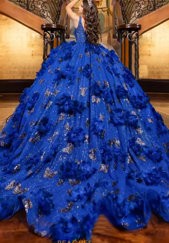 Plus Sized Quince Dresses|Sweet Sixteen^LizLuo Quinceanera 80032