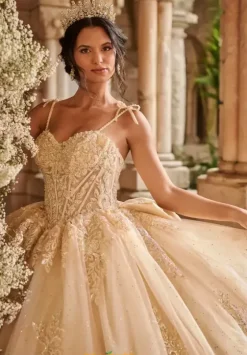 Plus Sized Quince Dresses^LizLuo Quinceanera 56546