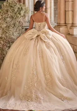Plus Sized Quince Dresses^LizLuo Quinceanera 56546