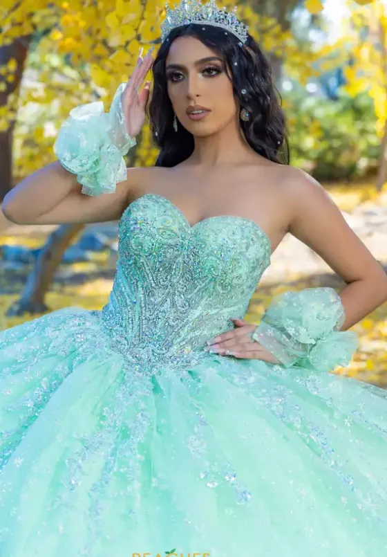 Sweet Sixteen^LizLuo Quinceanera 26094