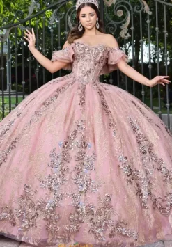 Sweet Sixteen|Plus Sized Quince Dresses^LizLuo Quinceanera 56534