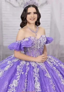 Sweet Sixteen|Plus Sized Quince Dresses^LizLuo Quinceanera 56534