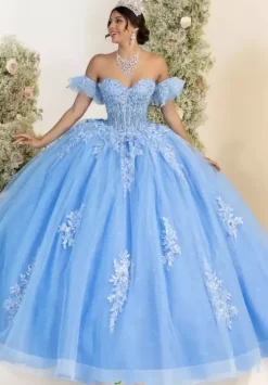 Sweet Sixteen|Plus Sized Quince Dresses^LizLuo Quinceanera 56553