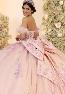 Sweet Sixteen|Plus Sized Quince Dresses^LizLuo Quinceanera 56553