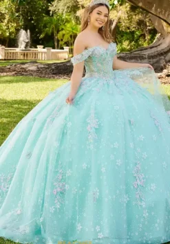 Sweet Sixteen|Plus Sized Quince Dresses^LizLuo Quinceanera 56515