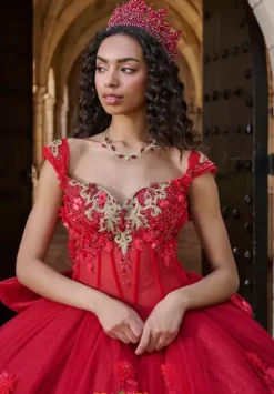 Plus Sized Quince Dresses^LizLuo Quinceanera 80057