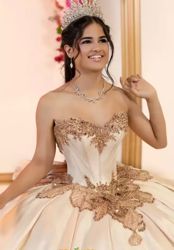 Plus Sized Quince Dresses^LizLuo Quinceanera 80066