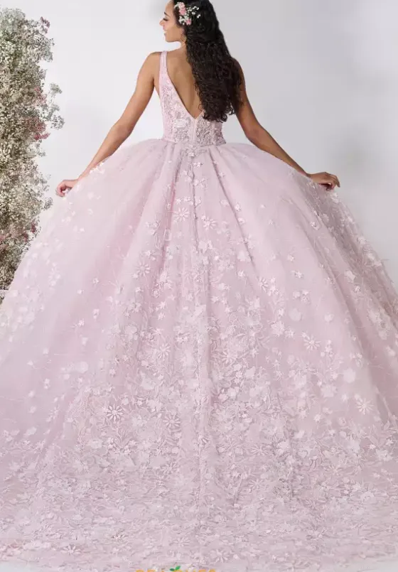 Plus Sized Quince Dresses^LizLuo Quinceanera 80060