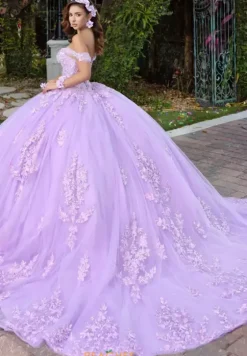 Sweet Sixteen|Plus Sized Quince Dresses^LizLuo Quinceanera 56529
