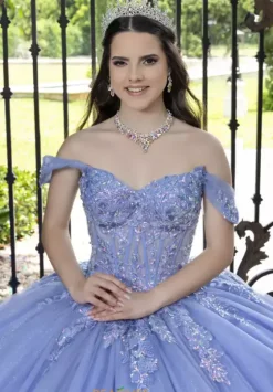 Sweet Sixteen|Plus Sized Quince Dresses^LizLuo Quinceanera 56529