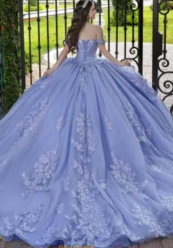 Sweet Sixteen|Plus Sized Quince Dresses^LizLuo Quinceanera 56529