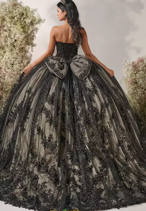 Plus Sized Quince Dresses^LizLuo Quinceanera 56551