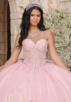 Plus Sized Quince Dresses^LizLuo Quinceanera 56551
