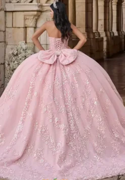 Plus Sized Quince Dresses^LizLuo Quinceanera 56551