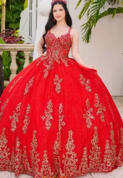 Plus Sized Quince Dresses|Sweet Sixteen^LizLuo Quinceanera 56519