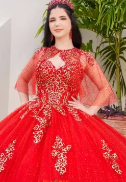 Plus Sized Quince Dresses|Sweet Sixteen^LizLuo Quinceanera 56519