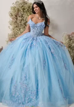 Plus Sized Quince Dresses^LizLuo Quinceanera 56549