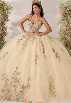 Plus Sized Quince Dresses^LizLuo Quinceanera 56549