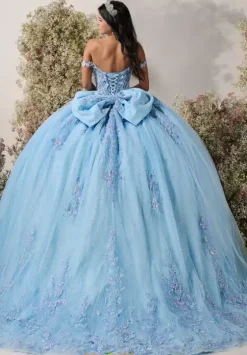 Plus Sized Quince Dresses^LizLuo Quinceanera 56549