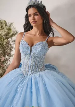 Plus Sized Quince Dresses^LizLuo Quinceanera 56547