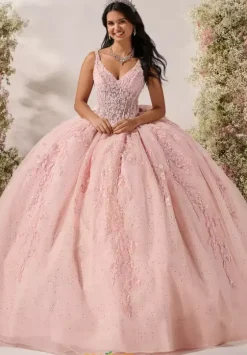 Plus Sized Quince Dresses^LizLuo Quinceanera 56541