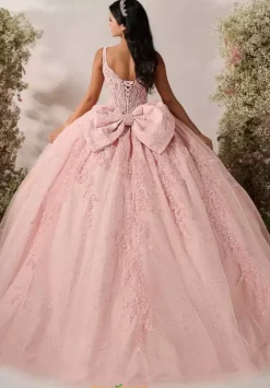 Plus Sized Quince Dresses^LizLuo Quinceanera 56541