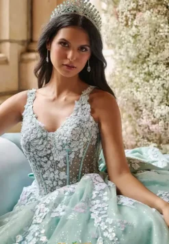 Plus Sized Quince Dresses^LizLuo Quinceanera 56541