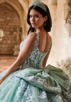 Plus Sized Quince Dresses^LizLuo Quinceanera 56541