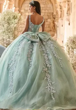 Plus Sized Quince Dresses^LizLuo Quinceanera 56541