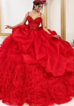 Plus Sized Quince Dresses^LizLuo Quinceanera 80061