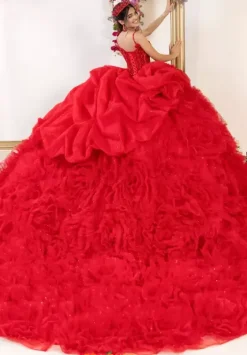 Plus Sized Quince Dresses^LizLuo Quinceanera 80061