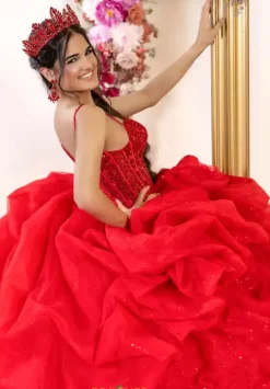 Plus Sized Quince Dresses^LizLuo Quinceanera 80061