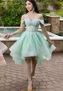 Plus Sized Quince Dresses|Sweet Sixteen^LizLuo Quinceanera 26103