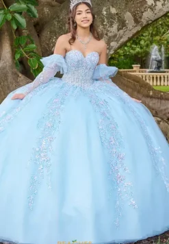 Quince Dresses With Sleeves|Plus Sized Quince Dresses^LizLuo Quinceanera 56508