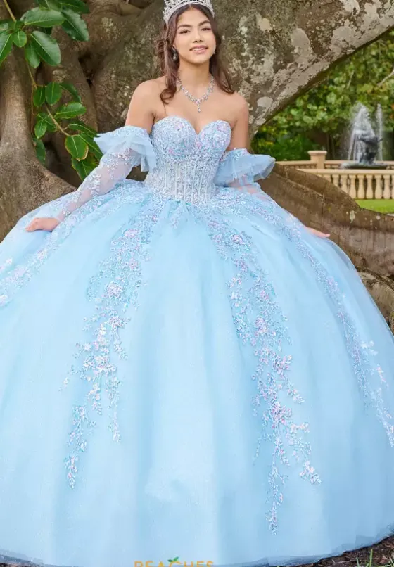 Quince Dresses With Sleeves|Plus Sized Quince Dresses^LizLuo Quinceanera 56508