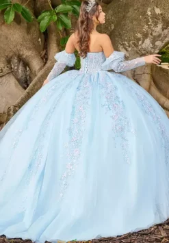 Quince Dresses With Sleeves|Plus Sized Quince Dresses^LizLuo Quinceanera 56508