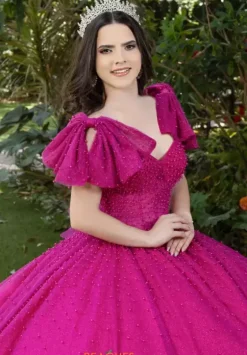 Plus Sized Quince Dresses|Sweet Sixteen^LizLuo Quinceanera 56538