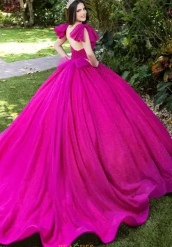Plus Sized Quince Dresses|Sweet Sixteen^LizLuo Quinceanera 56538