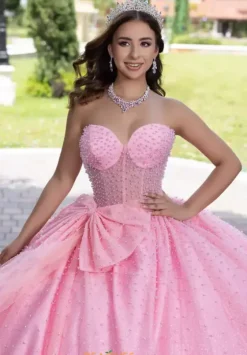 Plus Sized Quince Dresses|Sweet Sixteen^LizLuo Quinceanera 56538