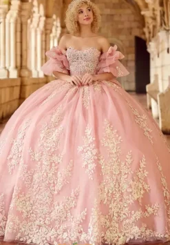 Plus Sized Quince Dresses^LizLuo Quinceanera 26123