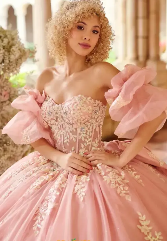 Plus Sized Quince Dresses^LizLuo Quinceanera 26123