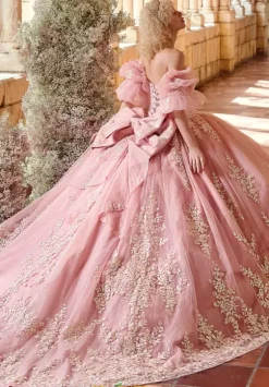Plus Sized Quince Dresses^LizLuo Quinceanera 26123