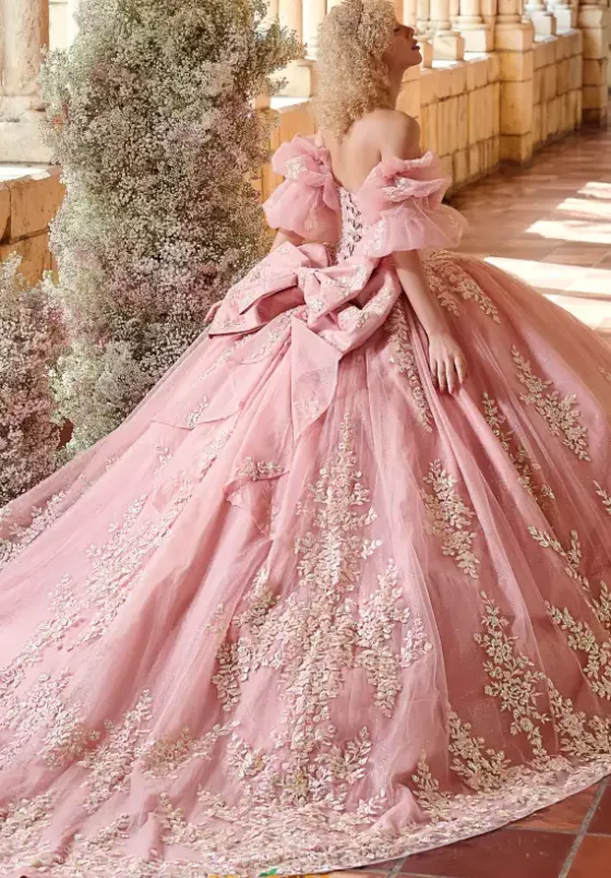 Plus Sized Quince Dresses^LizLuo Quinceanera 26123