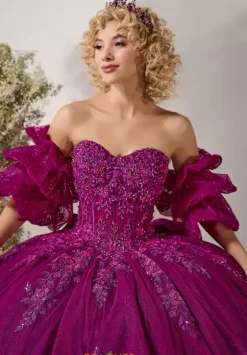 Plus Sized Quince Dresses^LizLuo Quinceanera 26123