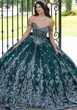 Sweet Sixteen|Plus Sized Quince Dresses^LizLuo Quinceanera 56533