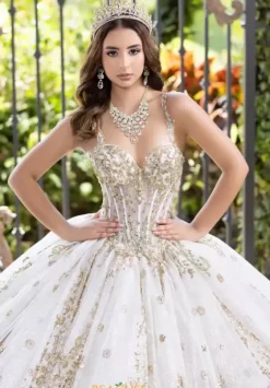 Sweet Sixteen|Plus Sized Quince Dresses^LizLuo Quinceanera 56533