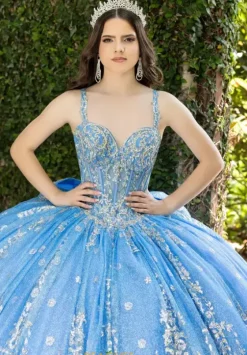 Sweet Sixteen|Plus Sized Quince Dresses^LizLuo Quinceanera 56533